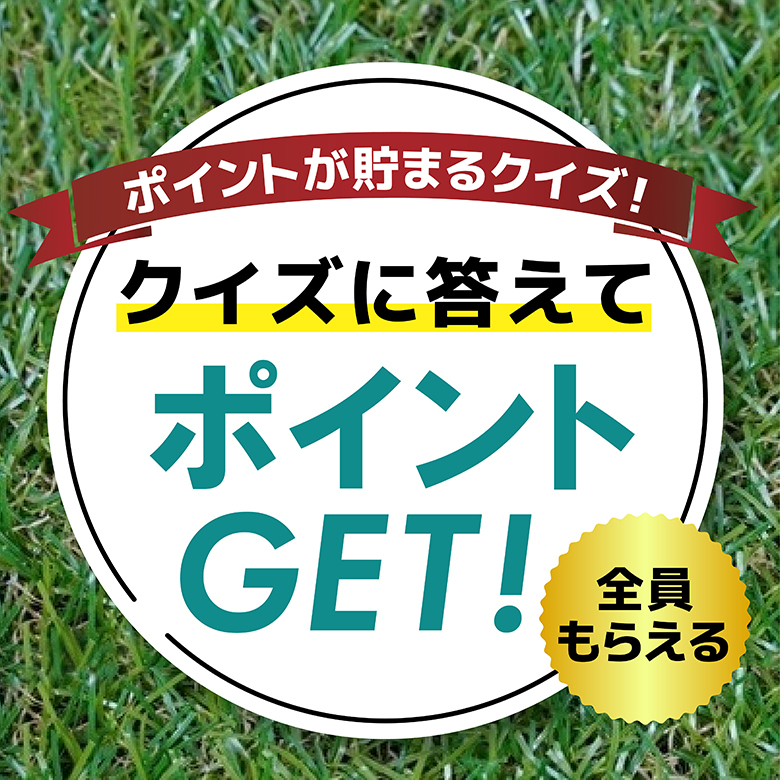 【ポイントが貯まる】カレークイズ